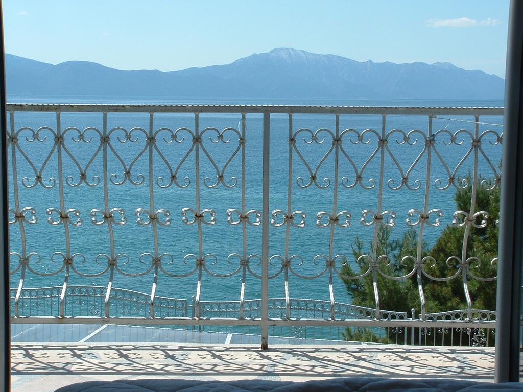 Guesthouse Kod Irene Gradac  Buitenkant foto