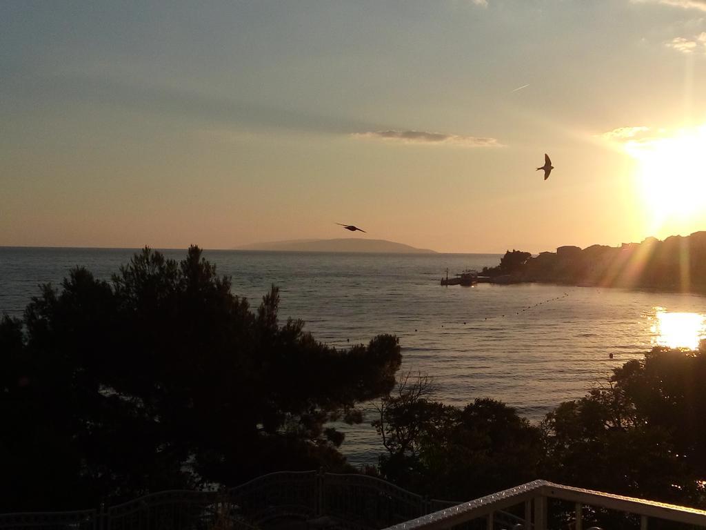 Guesthouse Kod Irene Gradac  Buitenkant foto